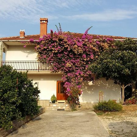 Apartman Dukic Apartment Trogir Exterior photo